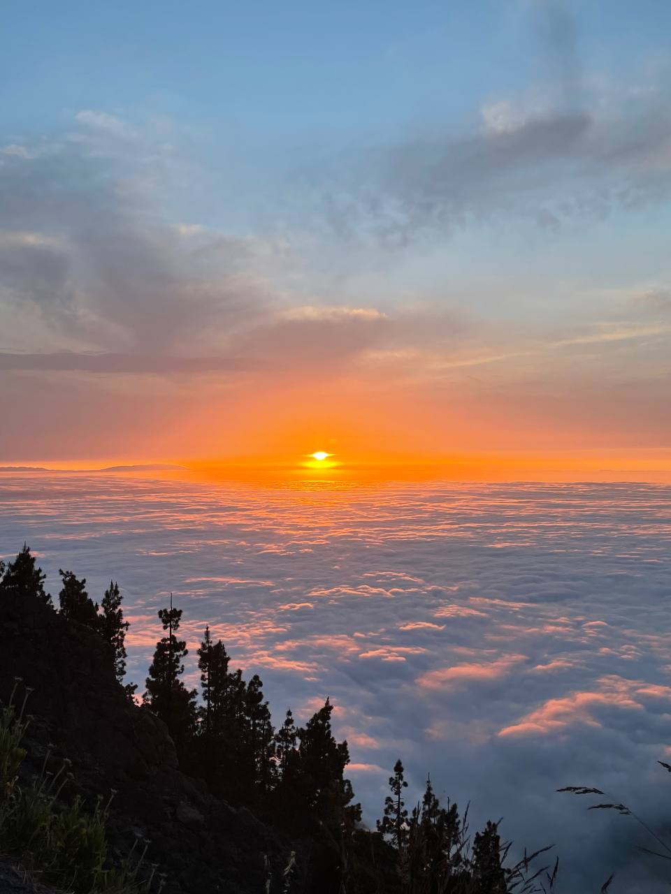 Mar de nubes en mirador de Tenerife
