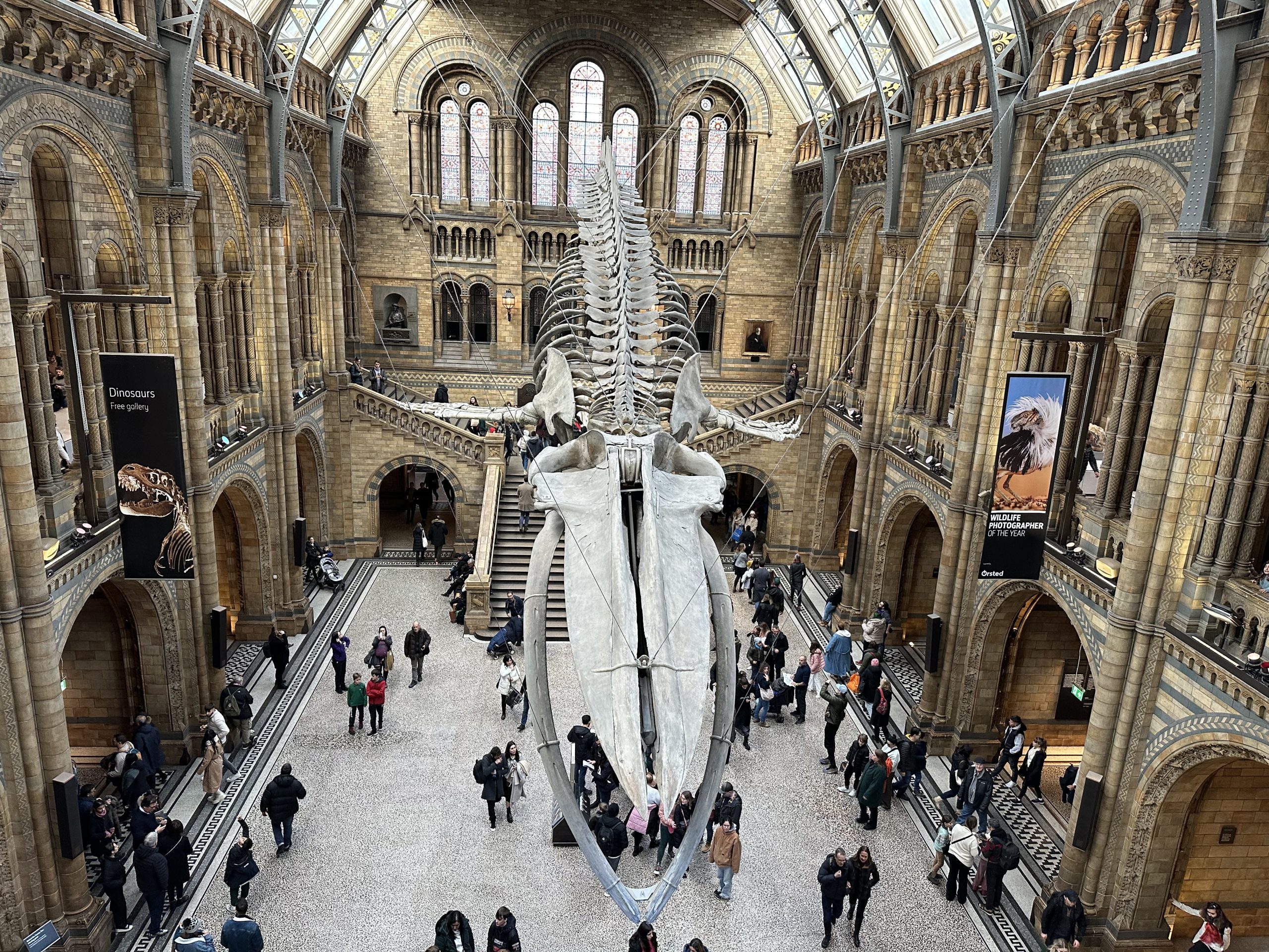 Interior del Natural History Museum en Londres