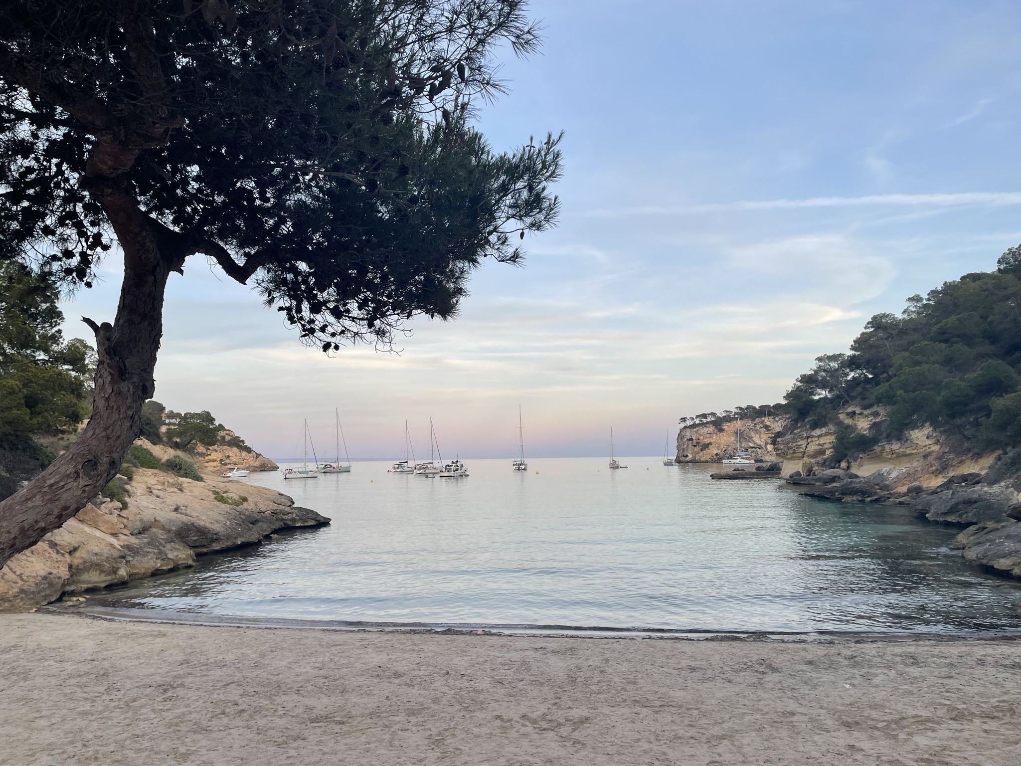 playa del rei en Mallorca
