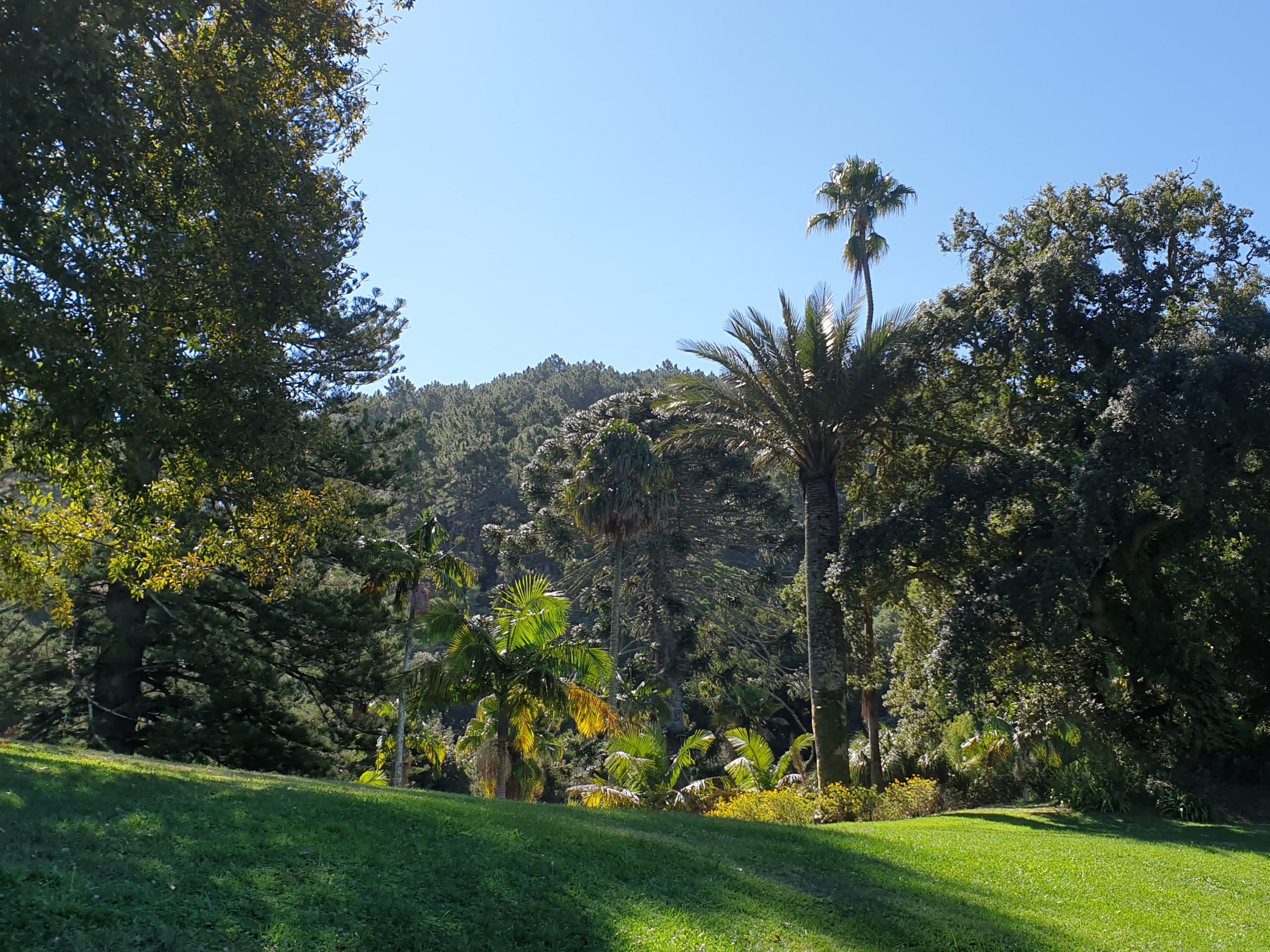 Jardines del Palacio de Monserrate en Sintra rodeados de naturaleza