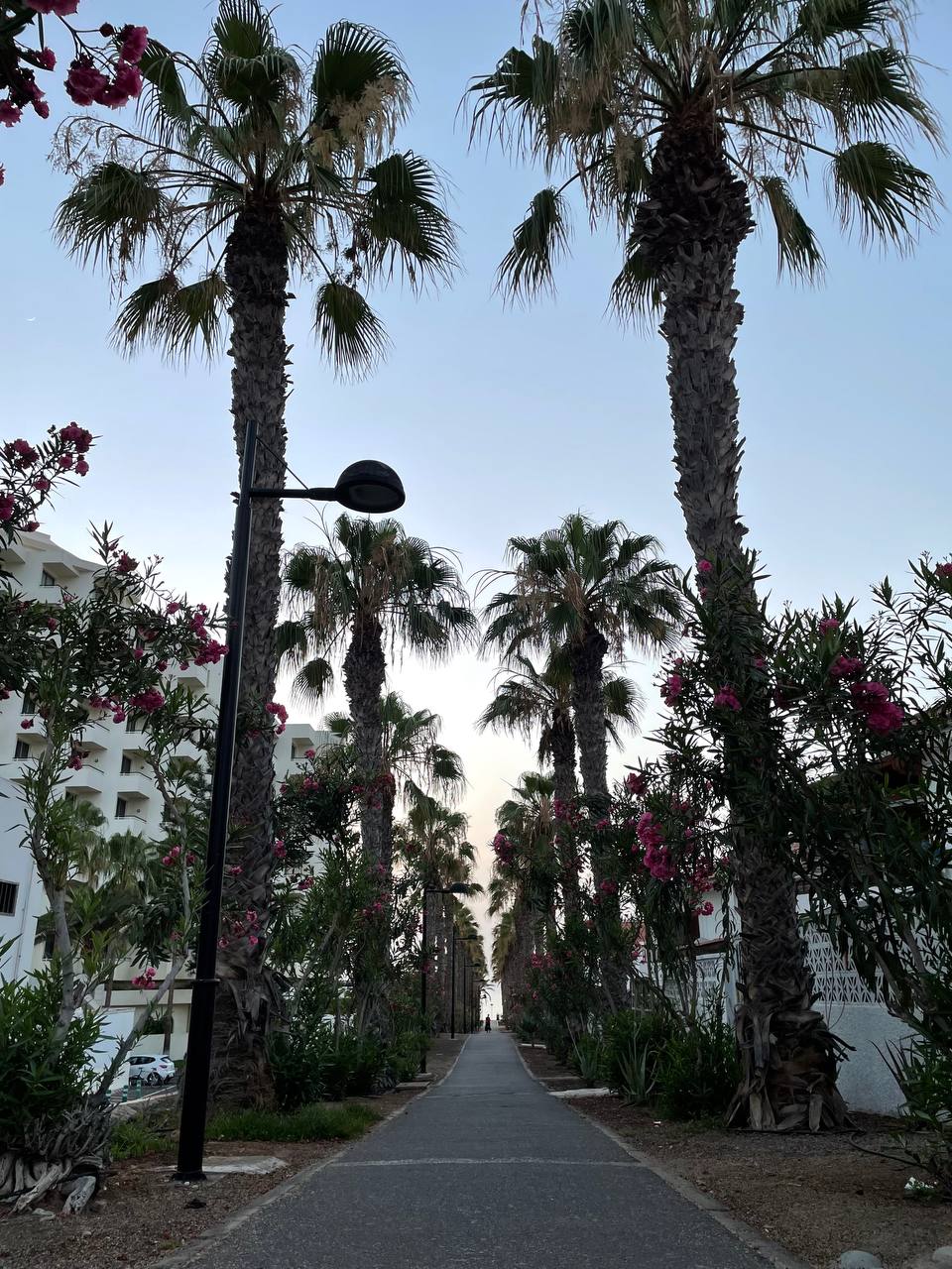 Paseo san telmo puerto de la cruz tenerife