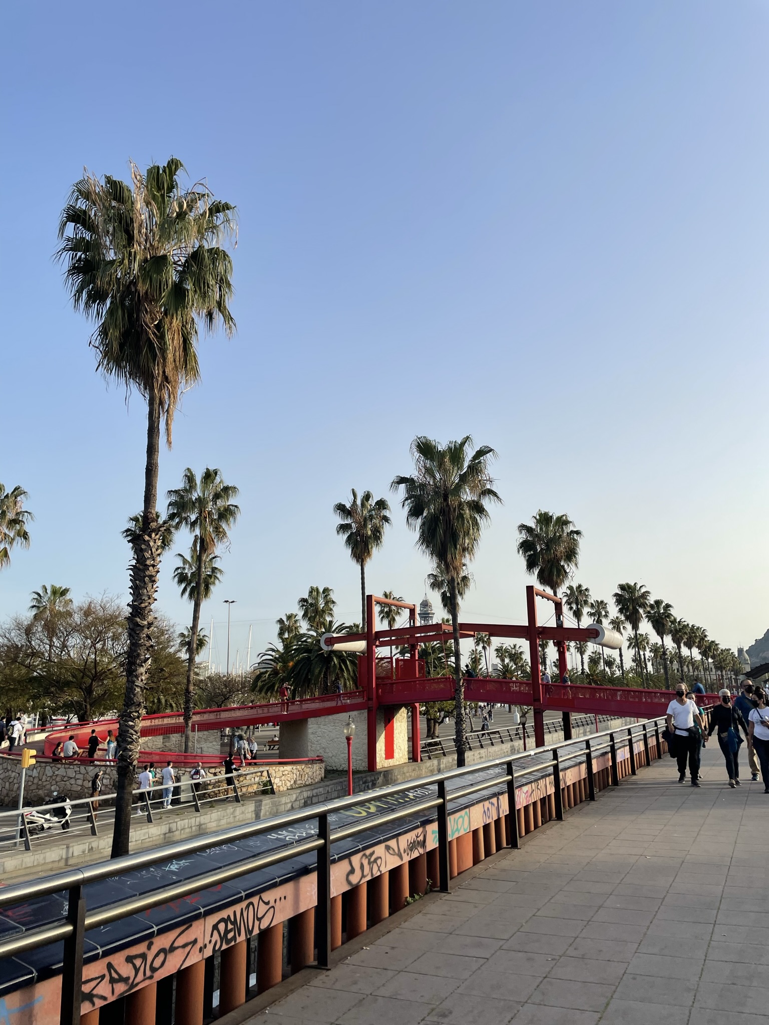 Rambla del Mar en Barcelona con palmeras y paseo junto al puerto