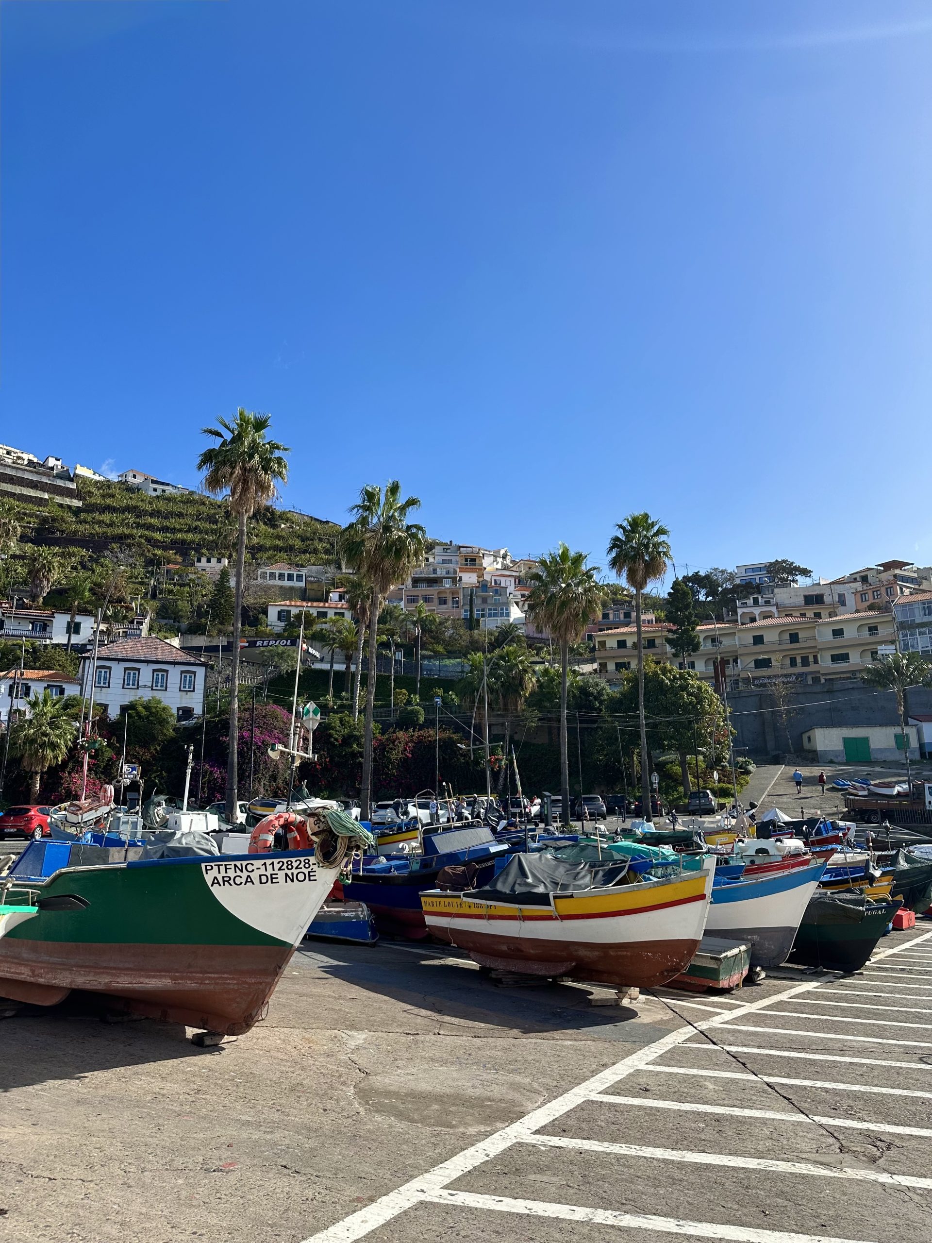 Barcos tradicionales en Câmara de Lobos Madeira