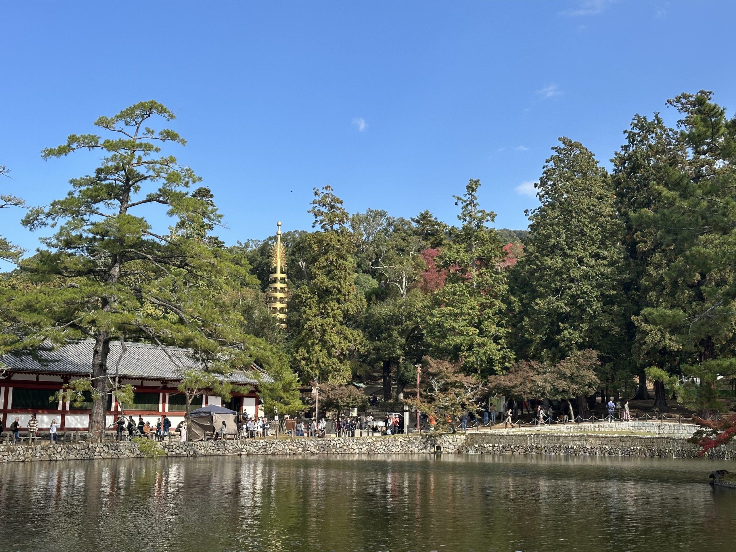 Nara park Japón