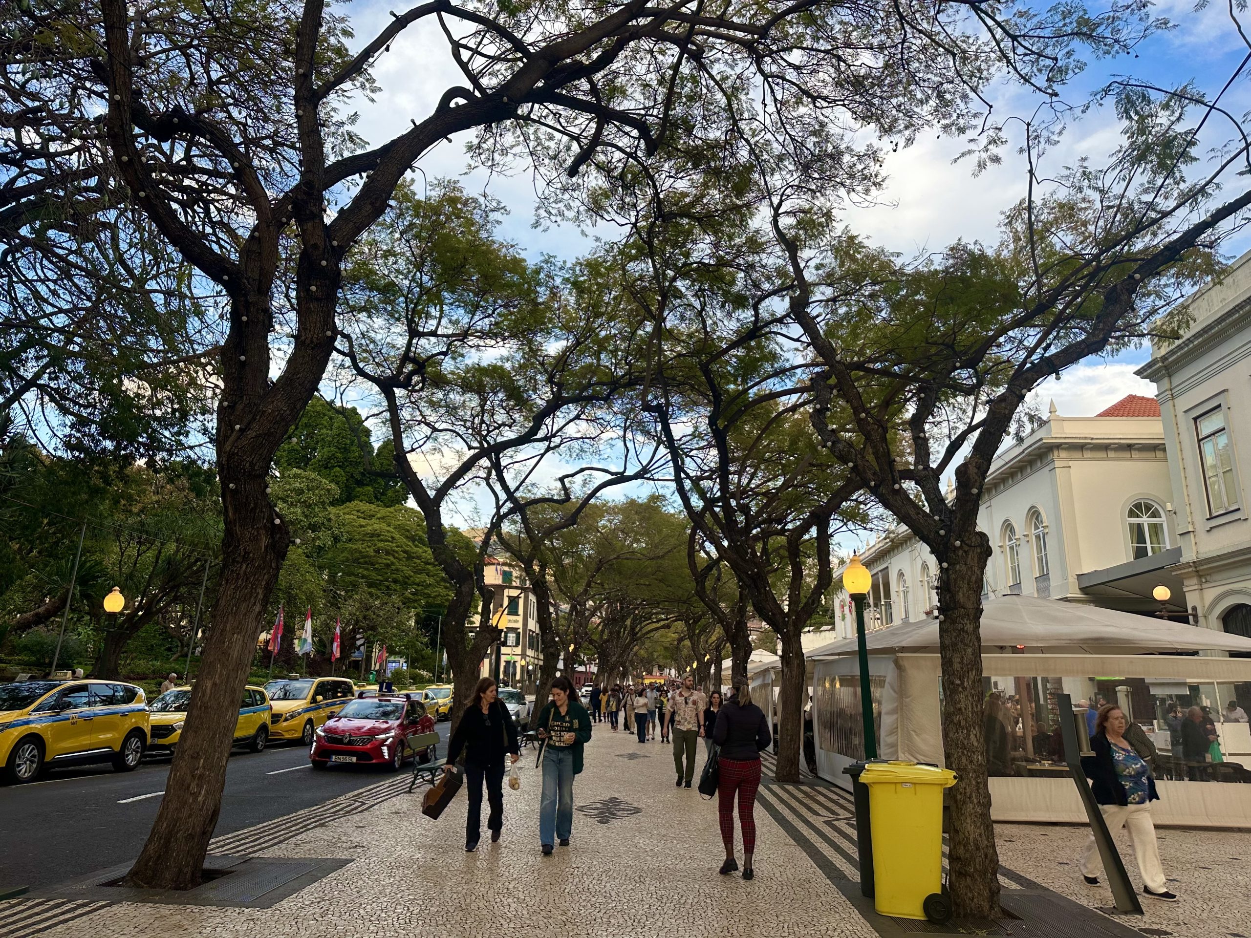 Avenida Arriaga en Funchal, uno de los lugares que ver en Madeira