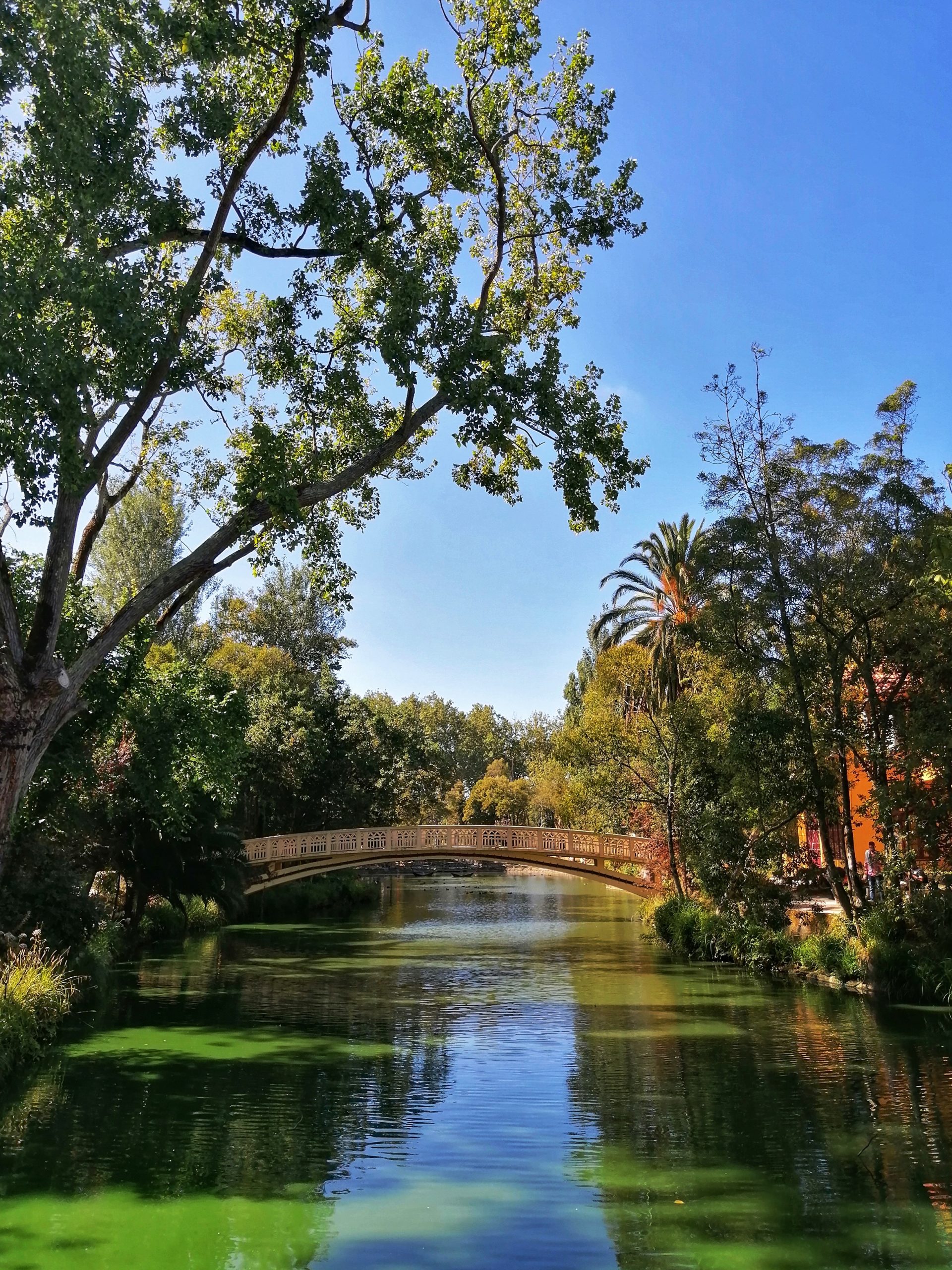 Parque Dom Pedro Infante, uno de los lugares tranquilos que ver en Aveiro