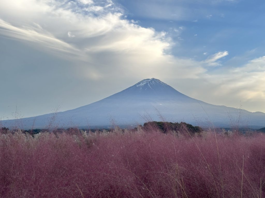 Parque-de-Oishi Fuji Japón