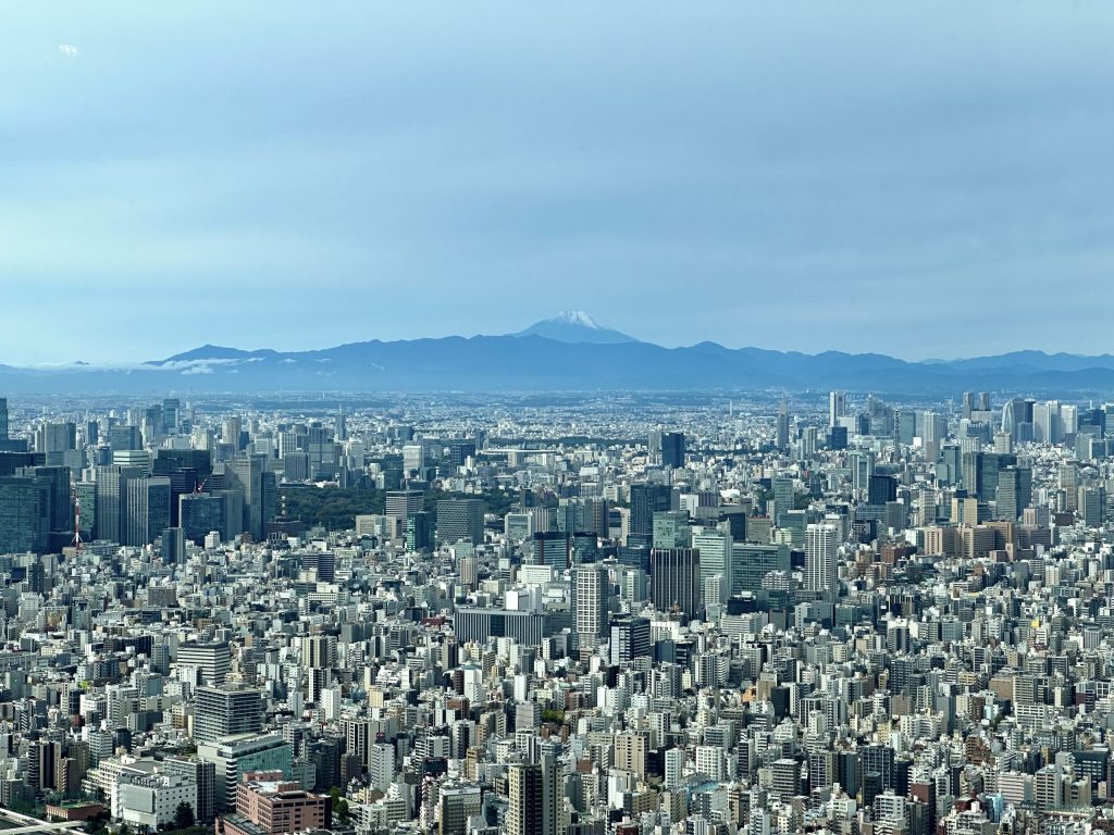 Vistas de Tokio desde el Skytower