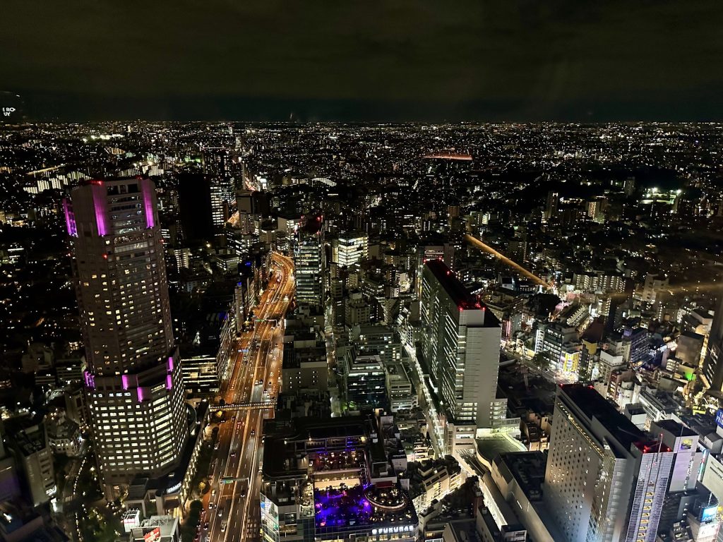 vistas de Tokio al anochecer