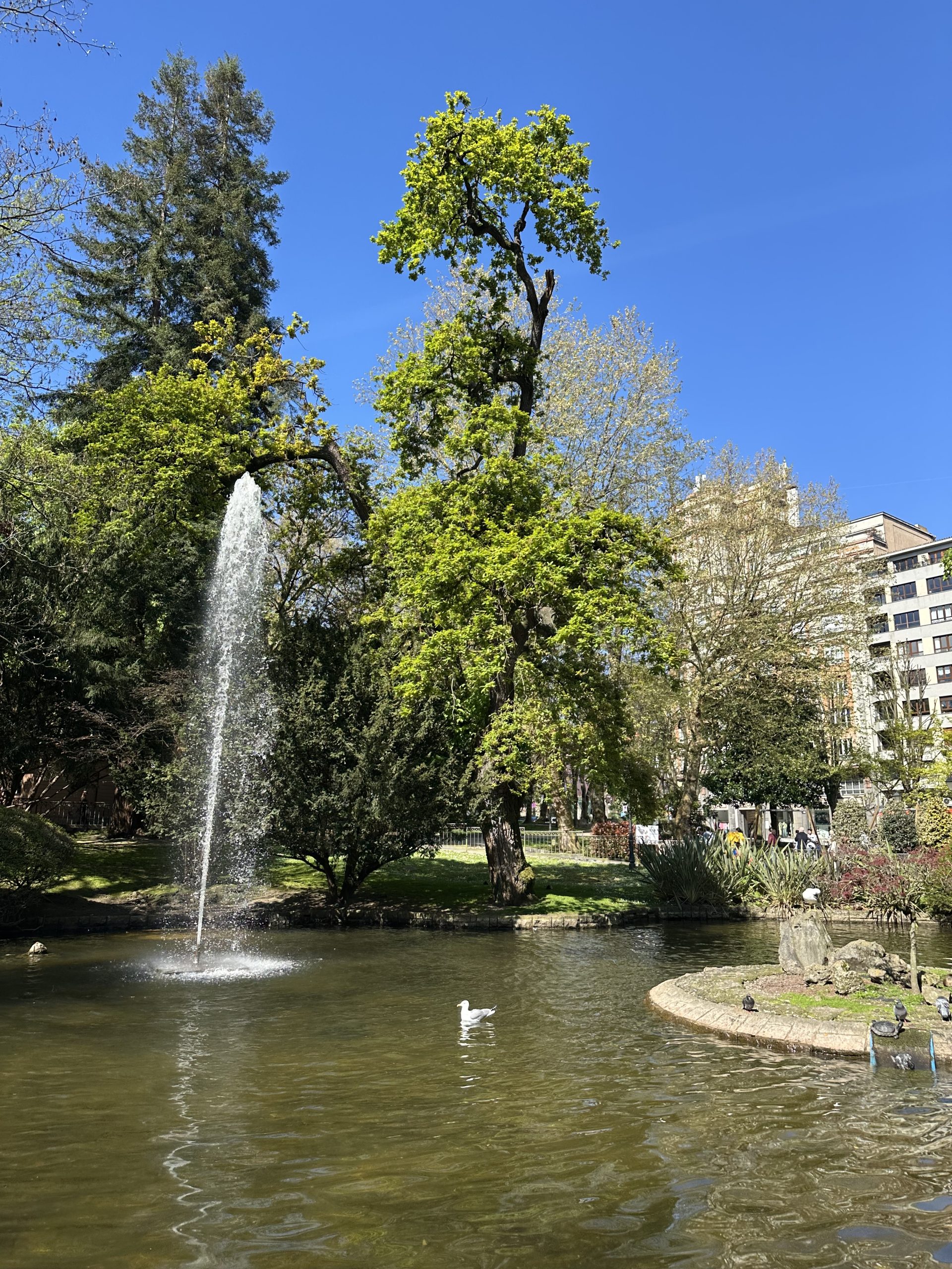 Campo de San Francisco en Oviedo con fuente, árboles y zona verde