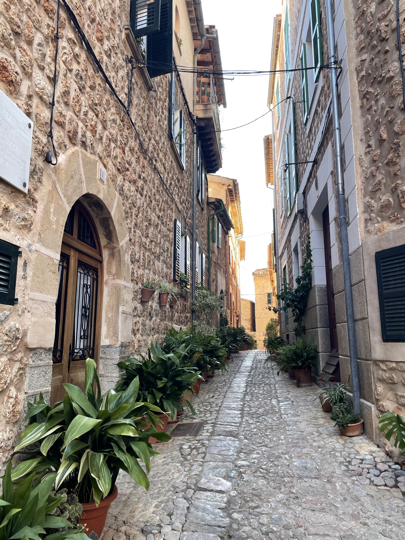 Fornalutx calle estrecha con casas de piedra y plantas en Mallorca