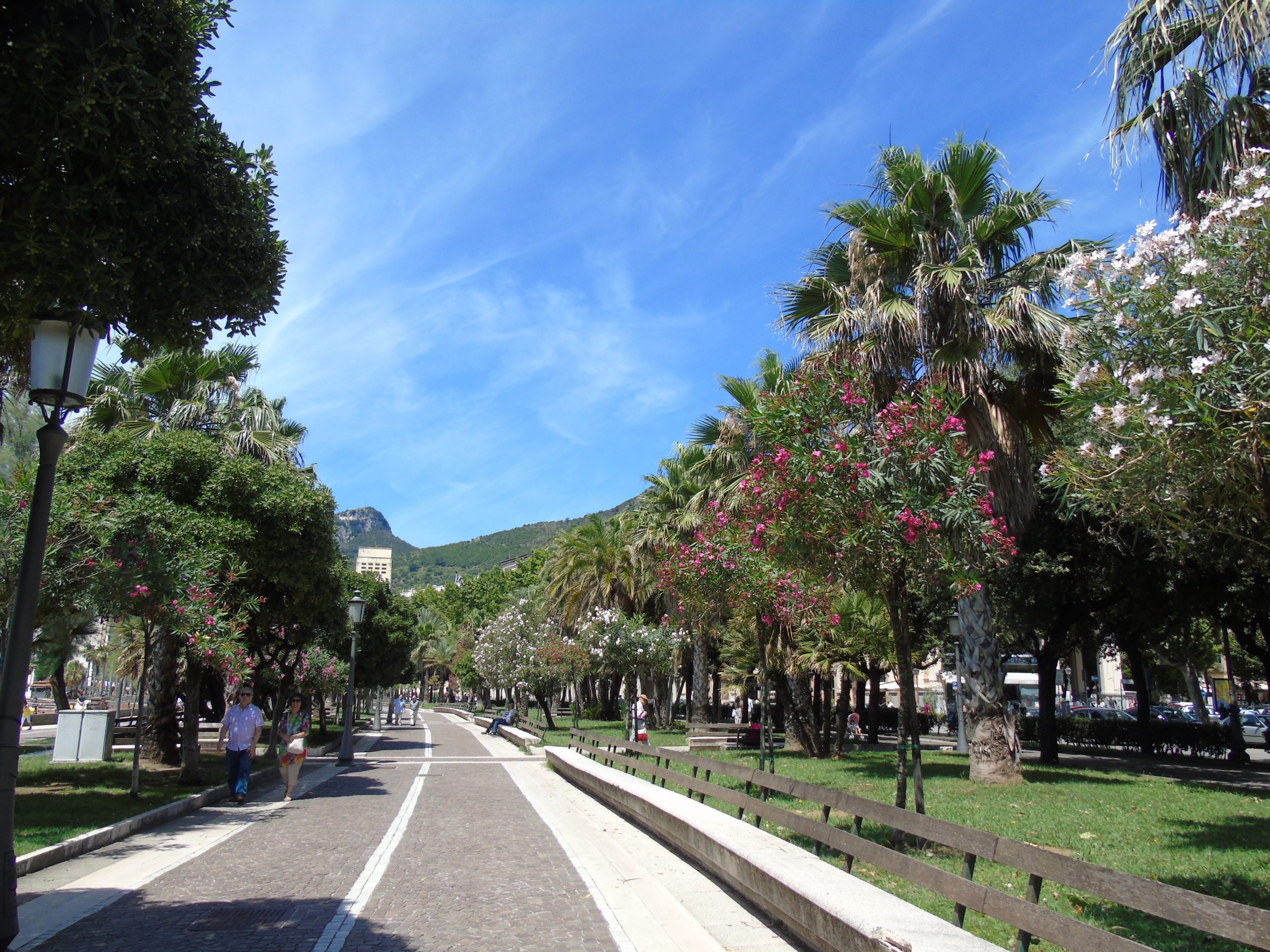 Paseo ajardinado del Lungomare Trieste de Salerno con palmeras y vegetación.