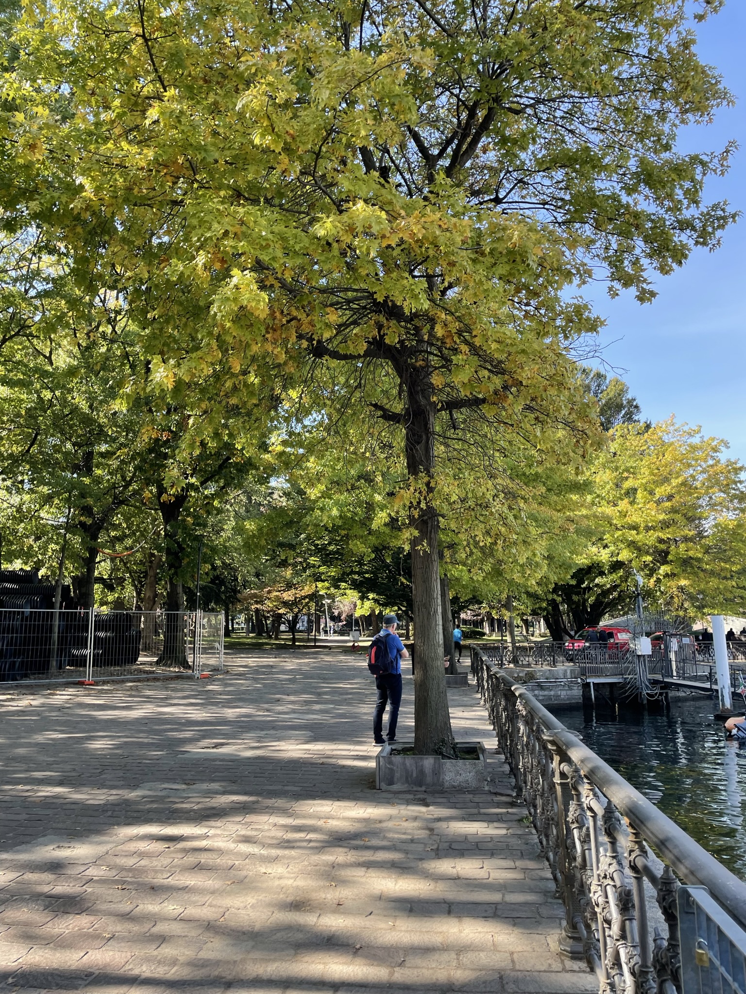 Paseo junto al Lago di Como con árboles, sombra y vistas al agua