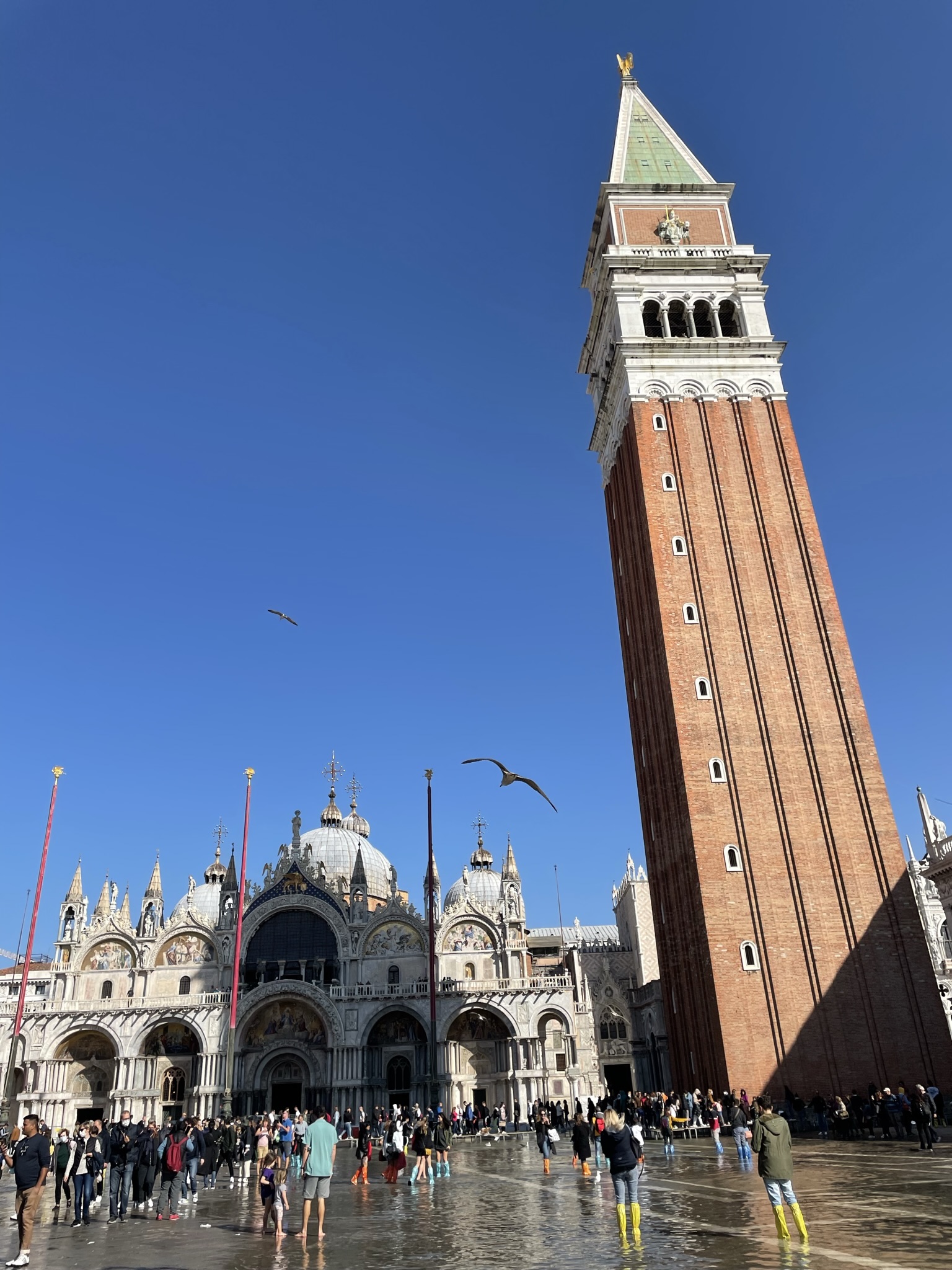 Plaza de San Marcos de Venecia con la Basílica de San Marcos y el Campanile.