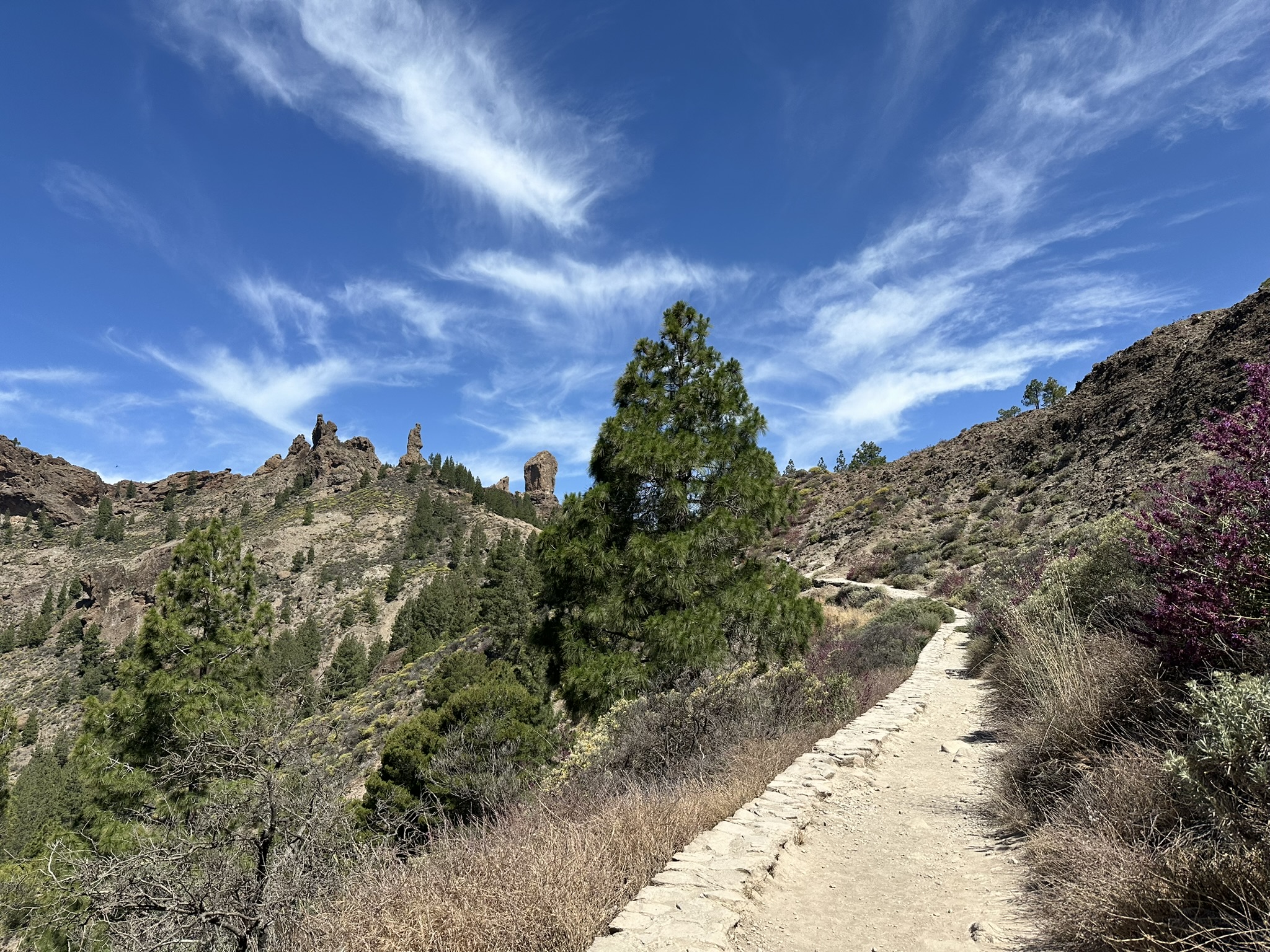camino al Roque Nublo en Gran canaria