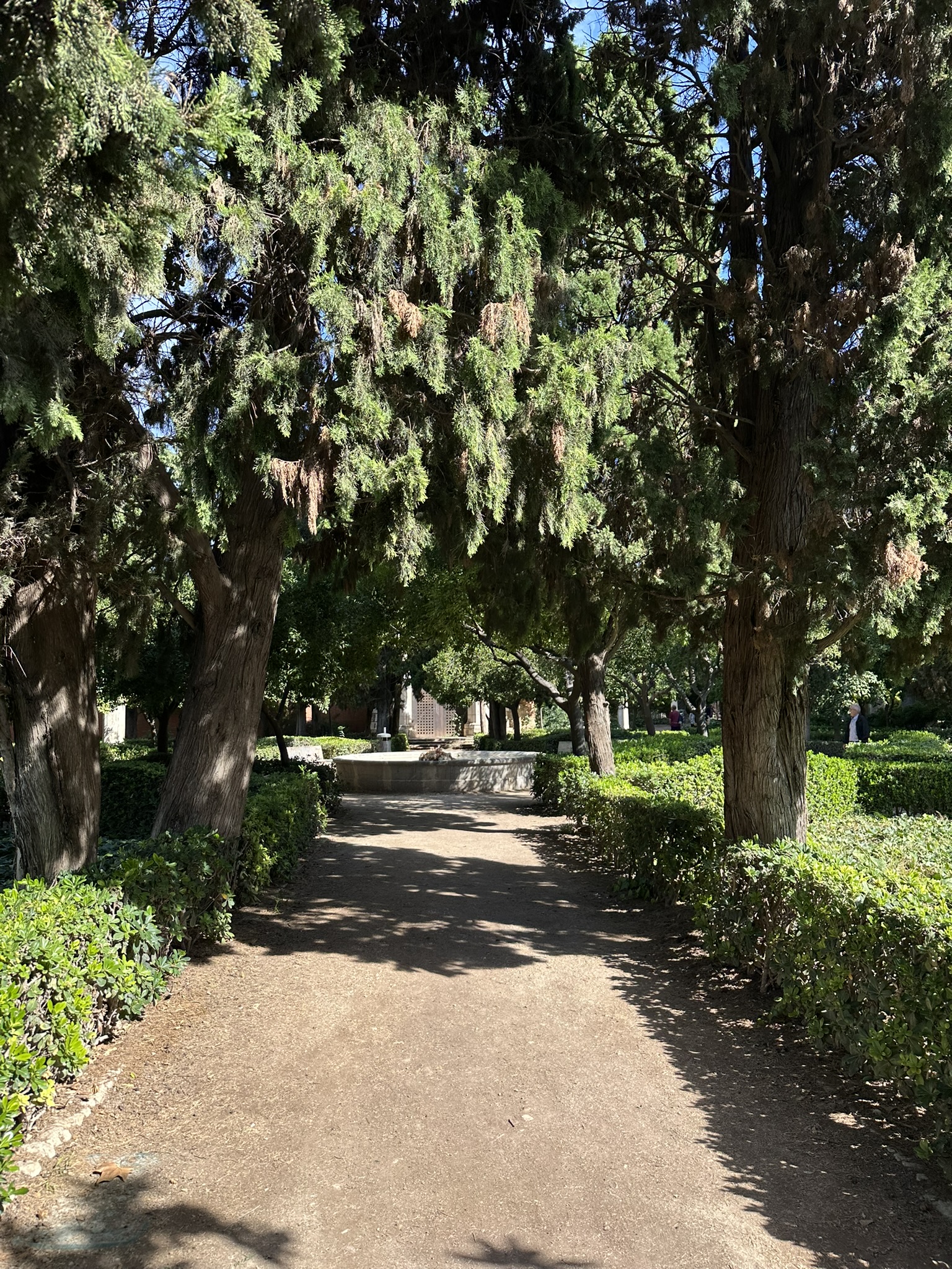 Jardines del real en Valencia